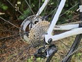 Price karboninis plento, Shimano 105 Di2, L-dydis - nuotraukos Nr. 6