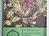 Daugiametės gėlės, Ankstyvosios d, Vazoninės, Flio - nuotraukos Nr. 2