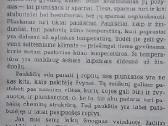 Pasaulio paukščiai - nuotraukos Nr. 3
