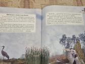 Rusų kalba - Pasaulis aplink mus - nuotraukos Nr. 6