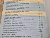 Rusų kalba - Pasaulis aplink mus - nuotraukos Nr. 8