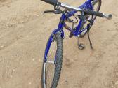 Tvarkingas MTB - nuotraukos Nr. 2