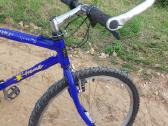 Tvarkingas MTB - nuotraukos Nr. 10