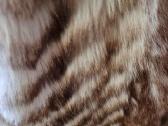 Lapės kailiniai fur coat - nuotraukos Nr. 7