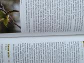Dendrologija 856 psl. - nuotraukos Nr. 3