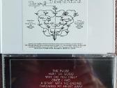 CD - 02 - nuotraukos Nr. 6