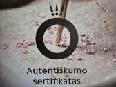 Pandora apyrankė - nuotraukos Nr. 2