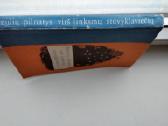 Mėnulių pilnatys virš linksmų stovyklaviečių. 1988 - nuotraukos Nr. 9