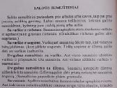 Kuo pavaišinti netikėtą svečią - nuotraukos Nr. 14