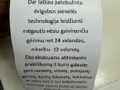 Gertuvė - termosas Welis - nuotraukos Nr. 4