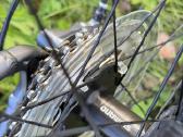 Gravel Gekko Flow Grv Shimano Claris 54cm M dydis - nuotraukos Nr. 13