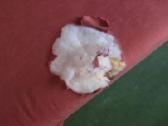 Kampinė miegama sofa su pintais porankiais - nuotraukos Nr. 4