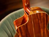 Washburn Bella Tono Allure Sc56s gitara - nuotraukos Nr. 2