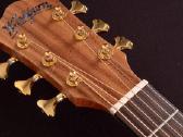 Washburn Bella Tono Allure Sc56s gitara - nuotraukos Nr. 4