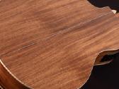 Washburn Bella Tono Allure Sc56s gitara - nuotraukos Nr. 5