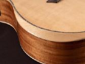 Washburn Bella Tono Allure Sc56s gitara - nuotraukos Nr. 6
