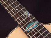 Washburn Bella Tono Allure Sc56s gitara - nuotraukos Nr. 8