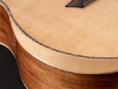 Washburn Bella Tono Allure Sc56s gitara - nuotraukos Nr. 9