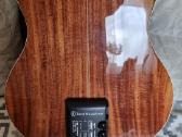 Washburn Bella Tono Allure Sc56s gitara - nuotraukos Nr. 10