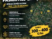 Žemės ukio paskirties nuoma - nuotraukos Nr. 2