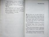 I. Simonaitytė. Gretimos istorijėlės. 1968 m. l - nuotraukos Nr. 5