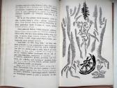 I. Simonaitytė. Gretimos istorijėlės. 1968 m. l - nuotraukos Nr. 8