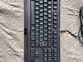 Razer Cynosa Lite - nuotraukos Nr. 3