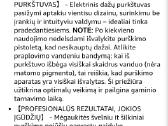 Elektrinis dažų purkštuvas - nuotraukos Nr. 5