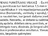 Elektrinis dažų purkštuvas - nuotraukos Nr. 6