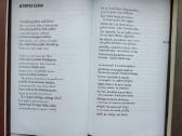 Rilke. Duino elegijos. Maltės Lauridso Brigės užra - nuotraukos Nr. 5