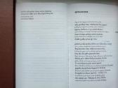 Rilke. Duino elegijos. Maltės Lauridso Brigės užra - nuotraukos Nr. 6