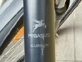 Pegasus dviratis - nuotraukos Nr. 3