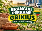 Elevatorius Superka kviecius,rapsa,grikius - nuotraukos Nr. 4