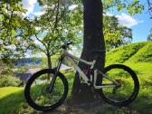 Giant Maestro Downhill Dviratis - nuotraukos Nr. 4