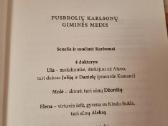 Laivas vaiduoklis ir juodoji dama - nuotraukos Nr. 3