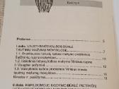 Pietryčių Lietuvos mokykla - nuotraukos Nr. 4