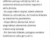 Ergonominė kuprinė - nuotraukos Nr. 7