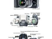 Nikon D700 – legendinis pilno kadro fotoaparatas - nuotraukos Nr. 16