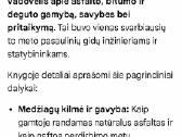 Asfaltas - nuotraukos Nr. 5