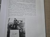 Šviesiaplaukis Vokietijos riteris - nuotraukos Nr. 7