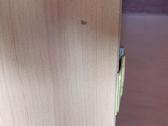 Vidaus durys varcia 200x60 - nuotraukos Nr. 3