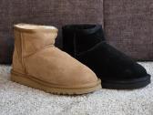 Nauji Ugg Classic / Tazz - nuotraukos Nr. 3
