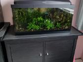 Akvariumas 54 l su spintele - nuotraukos Nr. 2