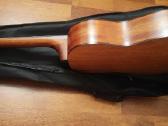 Gitara - nuotraukos Nr. 2