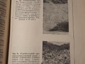 Odos žaliavos mikrobiologija - nuotraukos Nr. 12