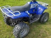 Keturatis Polaris 330cc - nuotraukos Nr. 2
