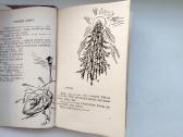 P. Naraškevičius. Į saulę(1959). Žalias vėjas - nuotraukos Nr. 6