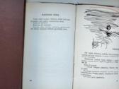 P. Naraškevičius. Į saulę(1959). Žalias vėjas - nuotraukos Nr. 8