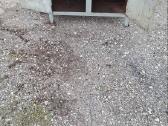 Klaipėdos garažo lentyna ir darbastalis - nuotraukos Nr. 6