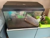 72l akvariumas su dangčiu ir išoriniu filtru - nuotraukos Nr. 2